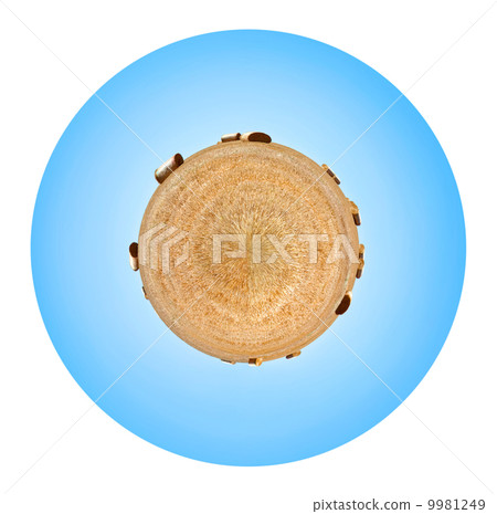 country straw field after harvest 9981249