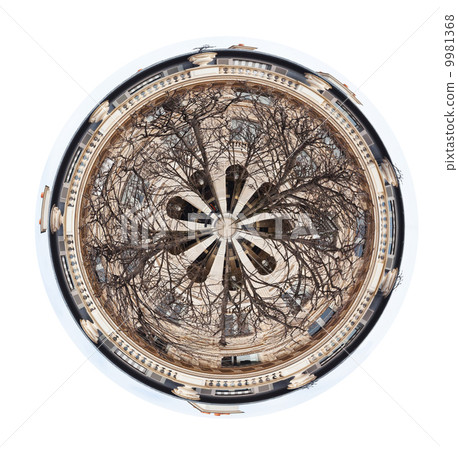 Palais Royal garden in Paris, France 9981368