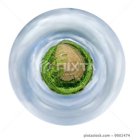 vineyard in wine region Etna, Sicily vineyard in wine region Etna, Sicily 9981474