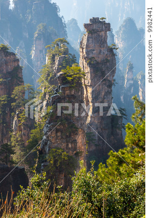 Zhangjiajie China 9982441