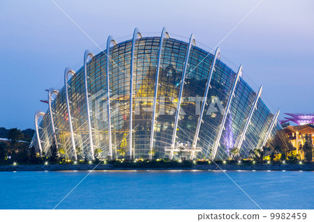 Singapore Garden by the bay 9982459