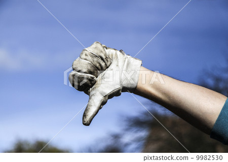 hand in glove 9982530