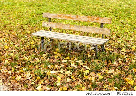 Bench 9982531