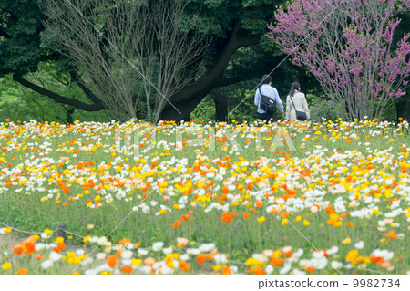A couple walking on a flower garden 9982734