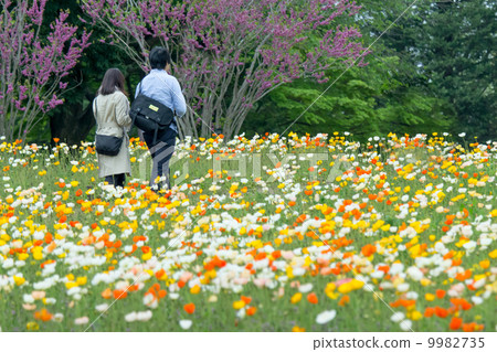 A couple walking on a flower garden 9982735