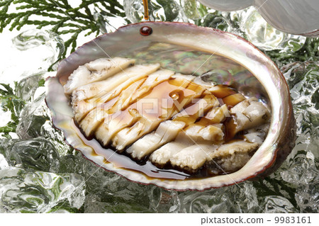 Abalone sashimi 9983161