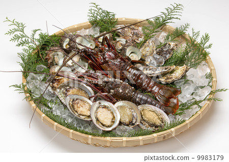 蝦Ise，鮑魚和Sazae 9983179