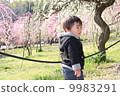 Boys and plum blossoms 9983291