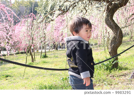 Boys and plum blossoms Boys and plum blossoms 9983291