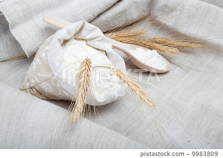 Flour and wheat grain on sackcloth Flour and wheat grain on sackcloth 9983809