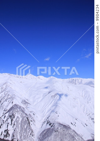 白馬 白馬 9984234