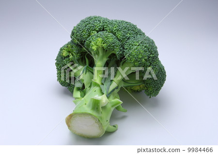 西蘭花 9984466