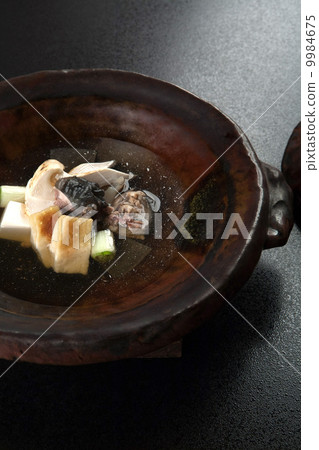 Turtle hot pot 9984675