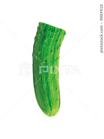 fresh cucumber fresh cucumber 9984918