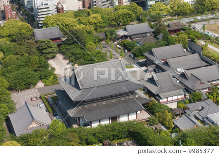 Shiba Zojoji 9985377