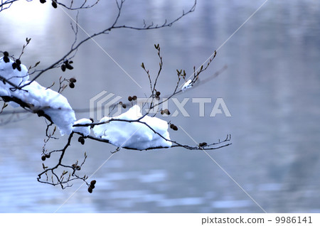 雪帽 雪帽 9986141