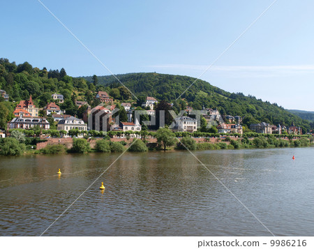 Heidelberg-Neckar River 9986216