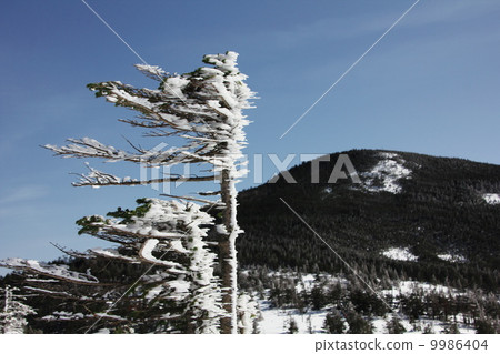 耙冰和Moundary山 耙冰和Moundary山 9986404