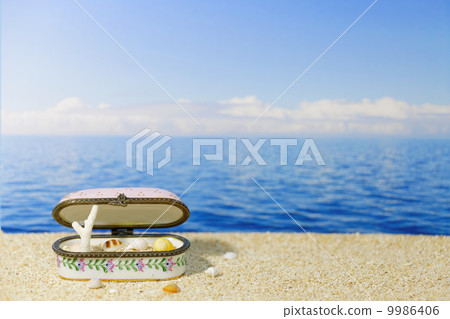 在沙質首飾盒的貝殼 9986406