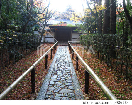 Kotono-in Kotono-in 9986984
