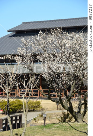 Sakuri Bairin 9987217