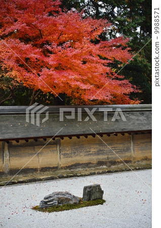 World Heritage Ryoanji Temple Garden 9988571