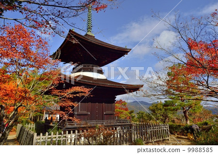 Junko-ji Temple Multi-Towers Autumn Leaves 9988585
