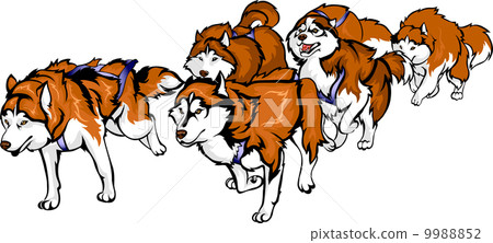 red husky sled 9988852