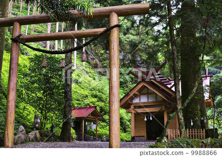 Akimoto shrine 9988866