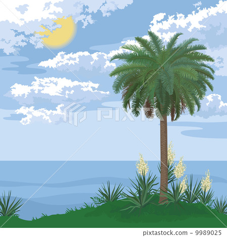Tropical island with palm and flowers Tropical island with palm and flowers 9989025
