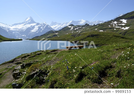 Bach alpse in early summer Bach alpse in early summer 9989153