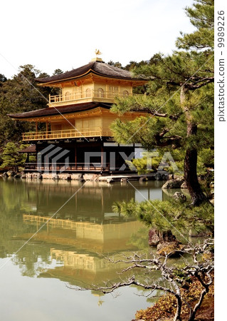金閣寺 金閣寺 9989226