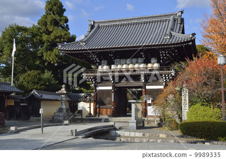 Umenomiya Taisha 9989335