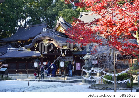 Imamiya Shrine 9989535