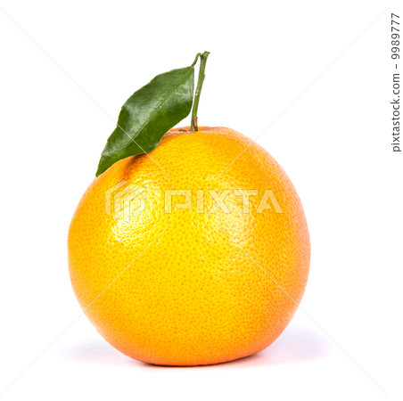 grapefruit grapefruit 9989777