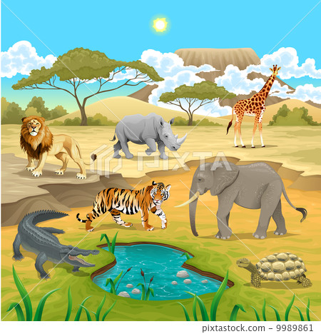 African animals in the nature. 9989861