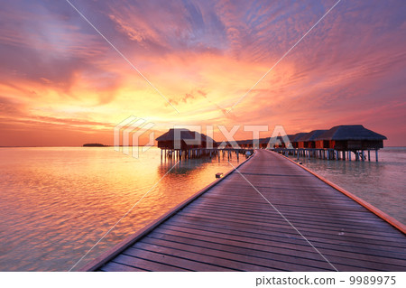 Sunset at Maldivian beach 9989975