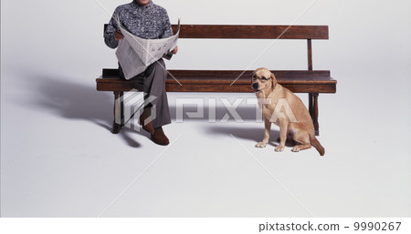 Newspaper with glasses wearing dog and bench Newspaper with glasses wearing dog and bench 9990267