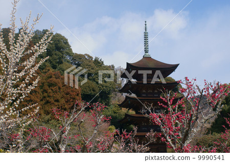 Ume and Rurikoji Temple 9990541