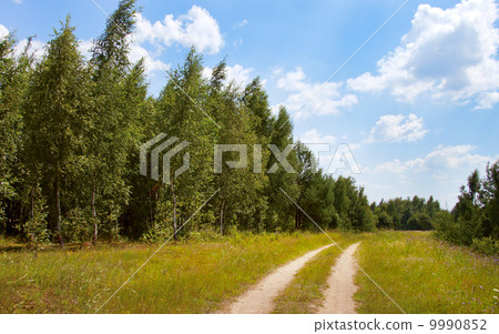 dirt road in a field dirt road in a field 9990852