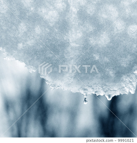 spring. thaw spring. thaw 9991021