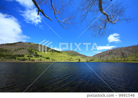 接近Lake Shinonome Lake 02 9991546
