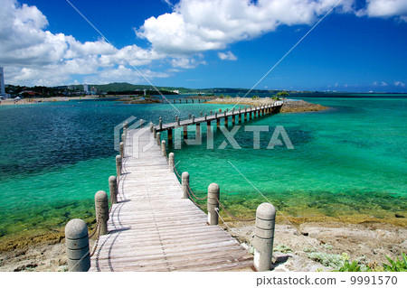 在度假海上的橋樑 9991570