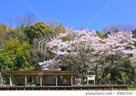 Kominato Railway · Spring Kazusa Okubo Station Kominato Railway · Spring Kazusa Okubo Station 9992545