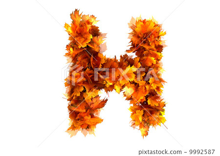 Fall  alphabet letter H 9992587