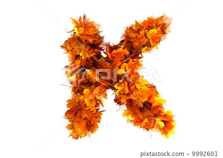 Fall alphabet letter K - Stock Illustration [9992601] - PIXTA
