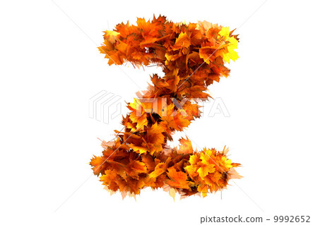 Fall  alphabet letter Z 9992652