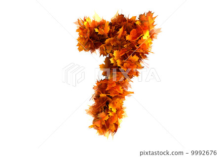 Fall  alphabet digit 7 9992676