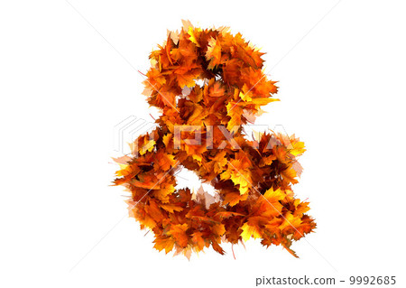 Fall alphabet letter - Stock Illustration [9992685] - PIXTA