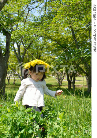 Girls playing dandelion wreaths 9993859
